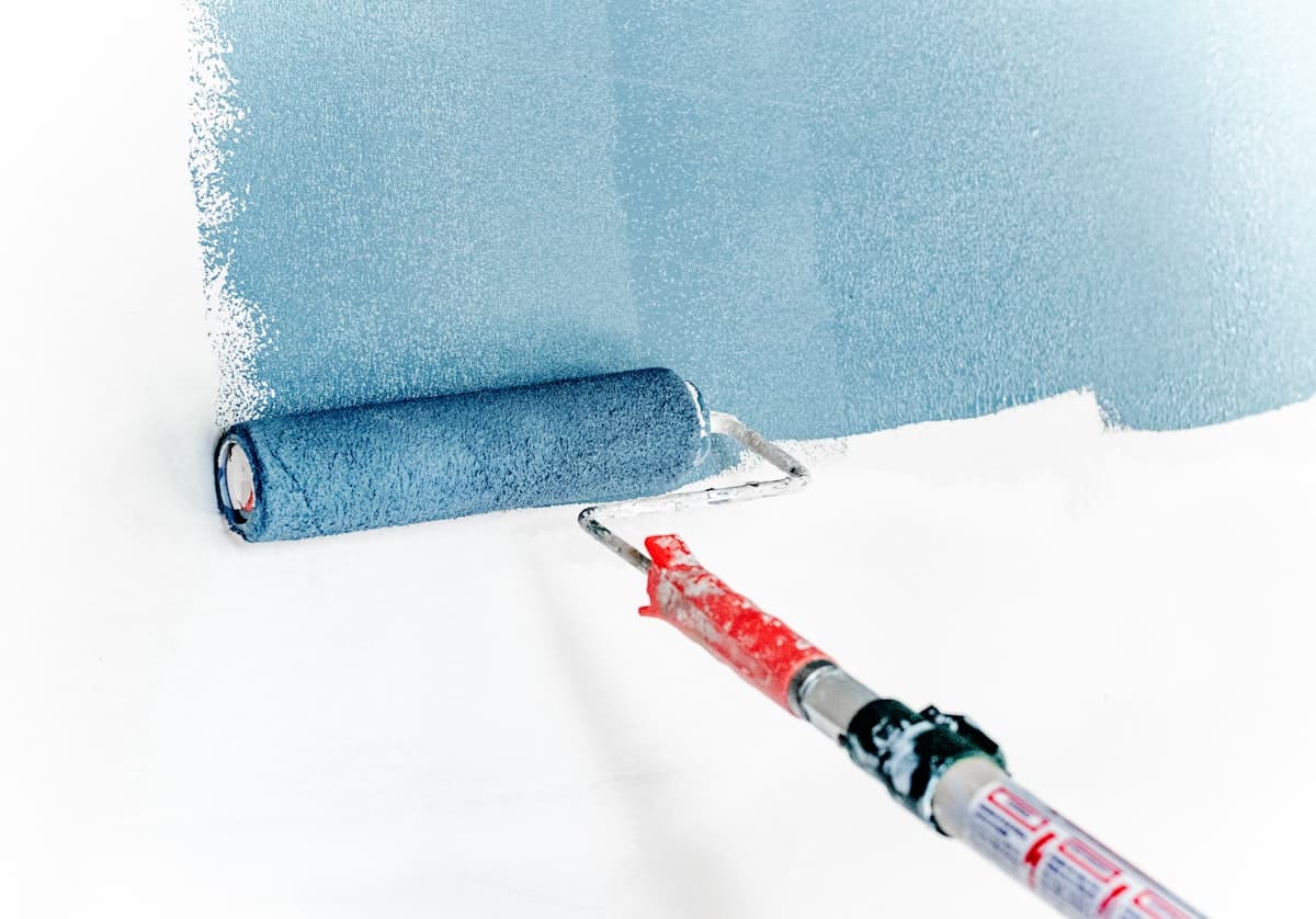 Professional painter at work in Charlesland